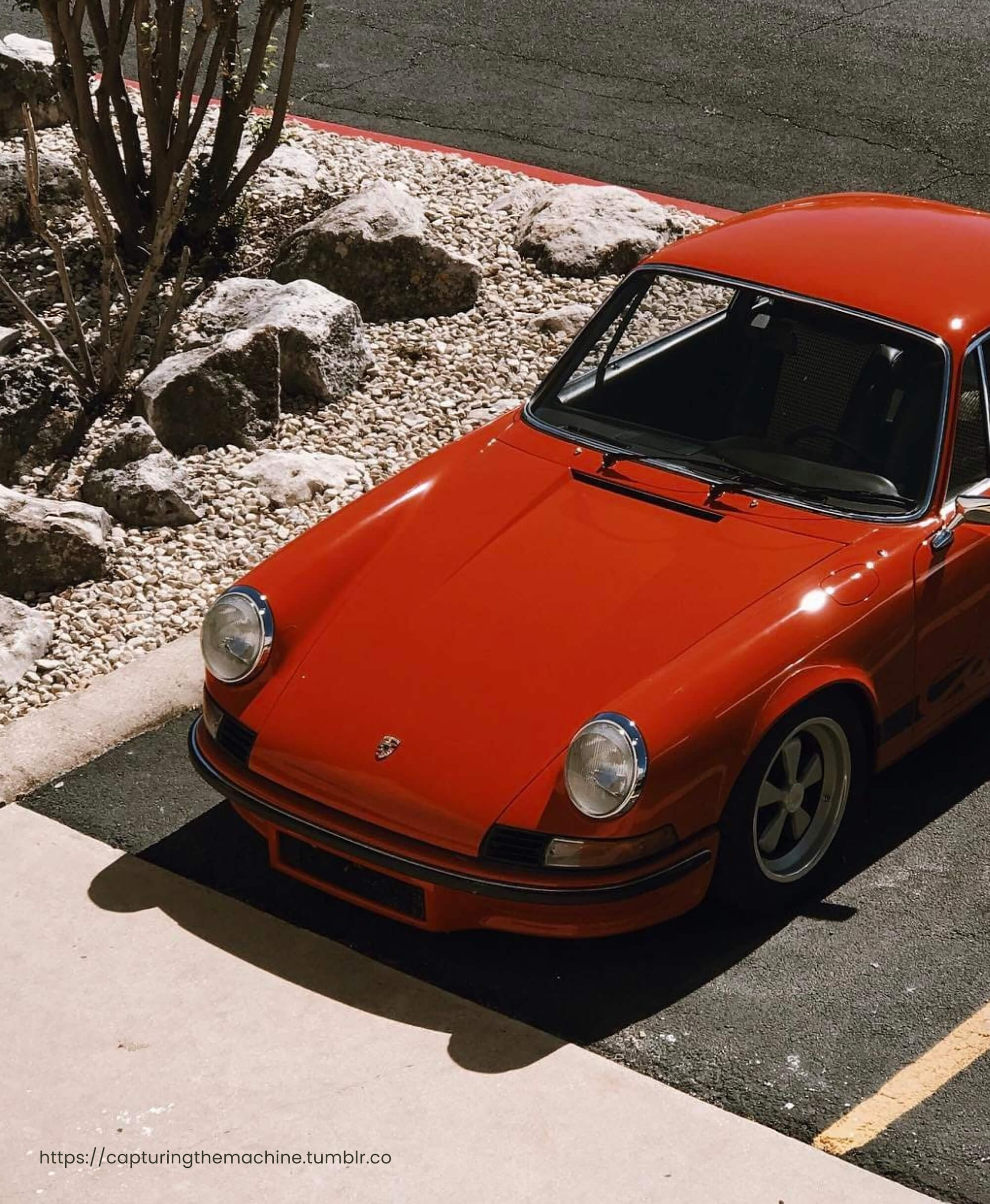 a digital platform showcasing Bloom Holding’s diverse portfolio