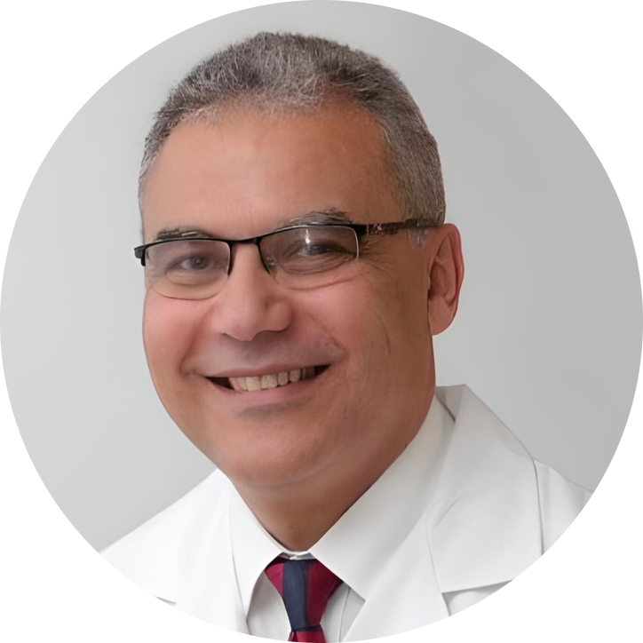 Dr. Mohamed Hassanein